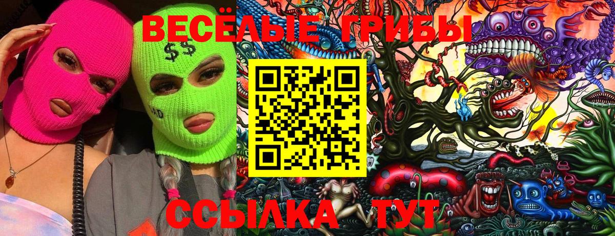 Псилоцибиновые грибы MAGIC MUSHROOMS  Вход с VPN  Галлюциногенные грибы мицелий  Абакан 