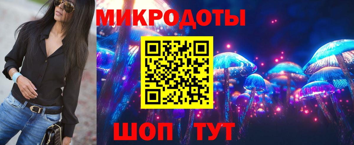 Галлюциногенные грибы Psilocybe Абакан